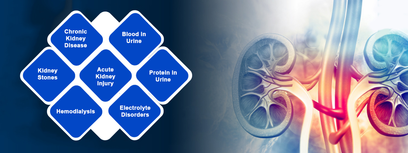 Best kidney specialist in bhosari, Pune :  Dr. Snehal Gaikwad