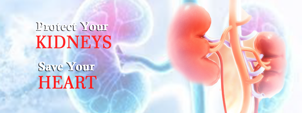 Kidney Care Services in Bhosari, Pune : Dr. Snehal Gaikwad